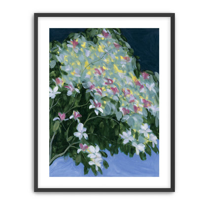 Blossoms across the night sky