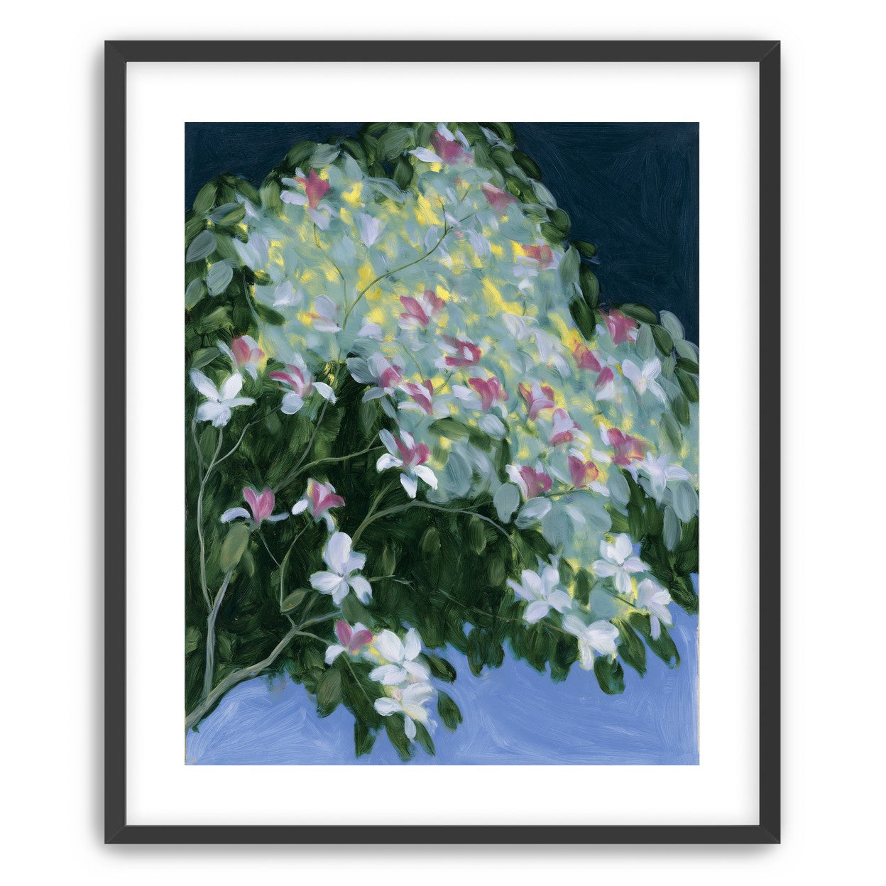 Blossoms across the night sky