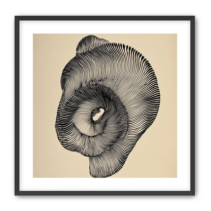A hollow within black lines