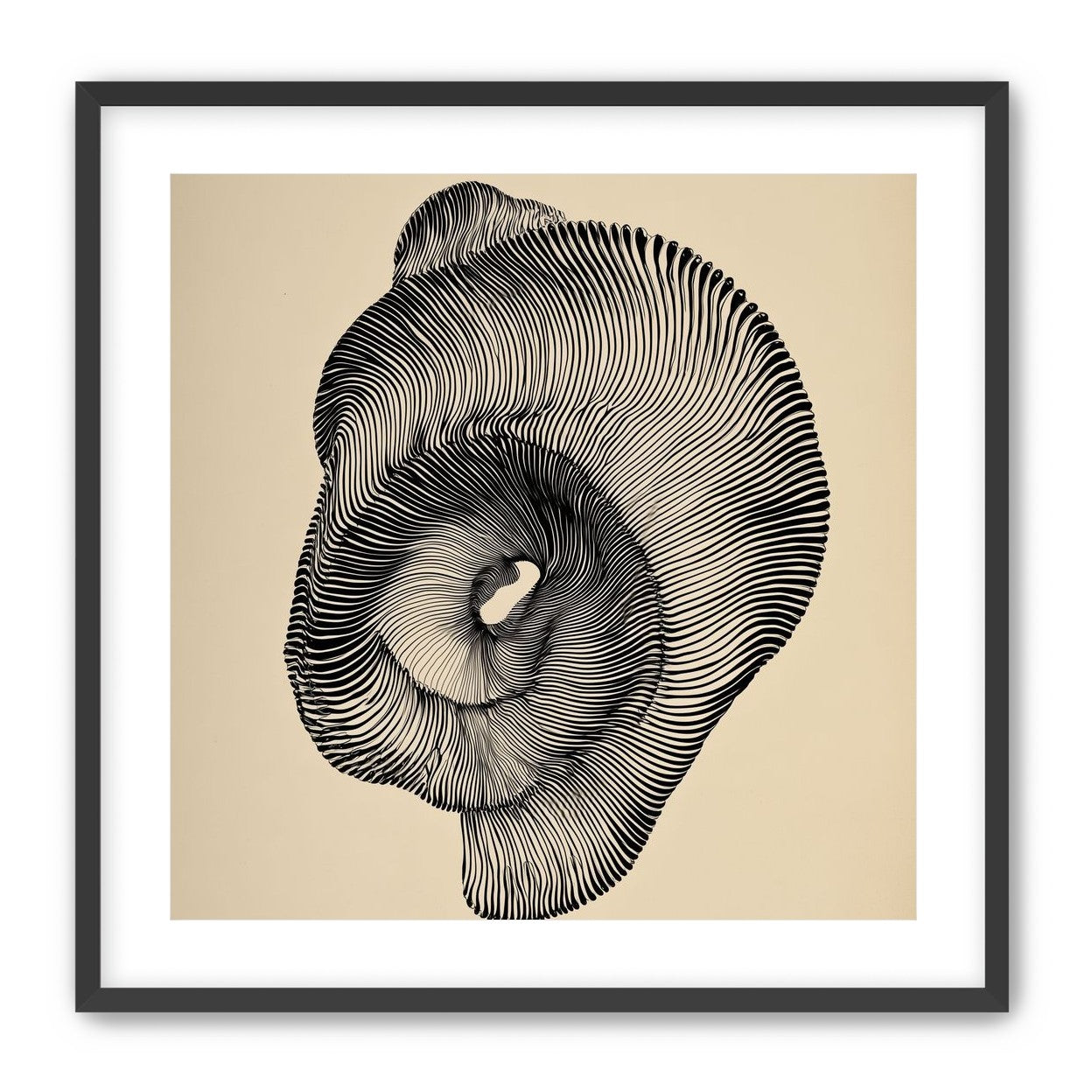 A hollow within black lines