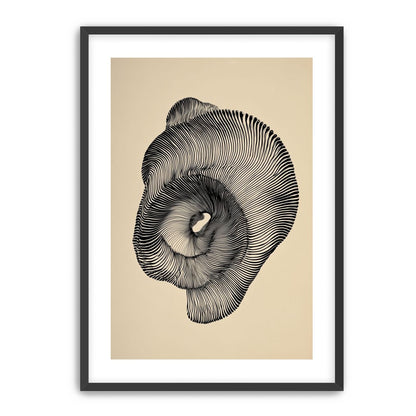 A hollow within black lines