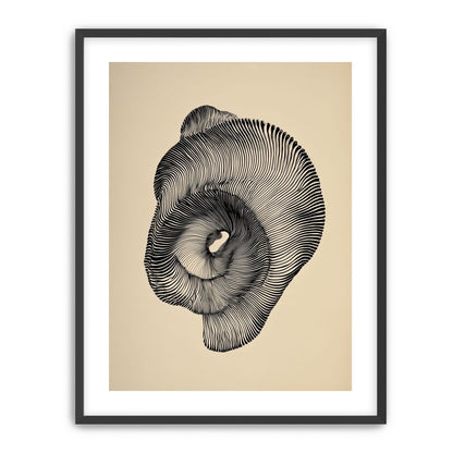A hollow within black lines