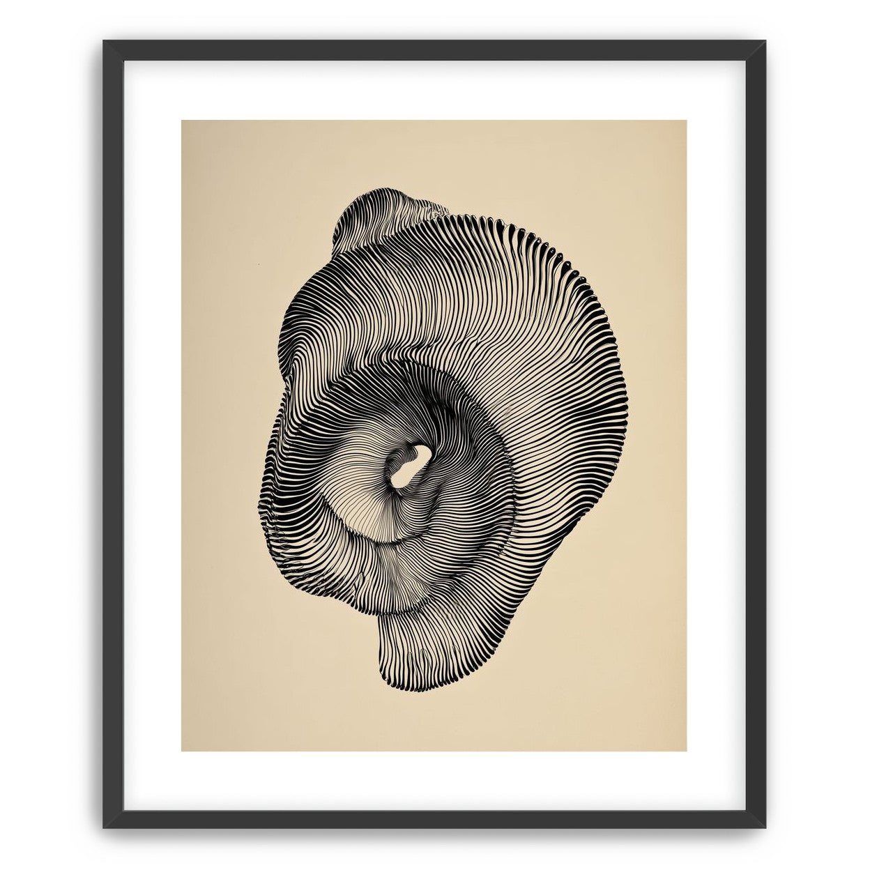 A hollow within black lines
