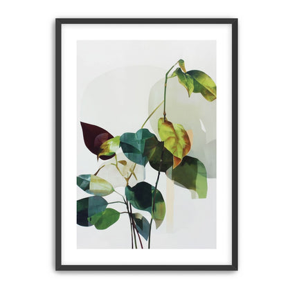 Leaves within pale shadows