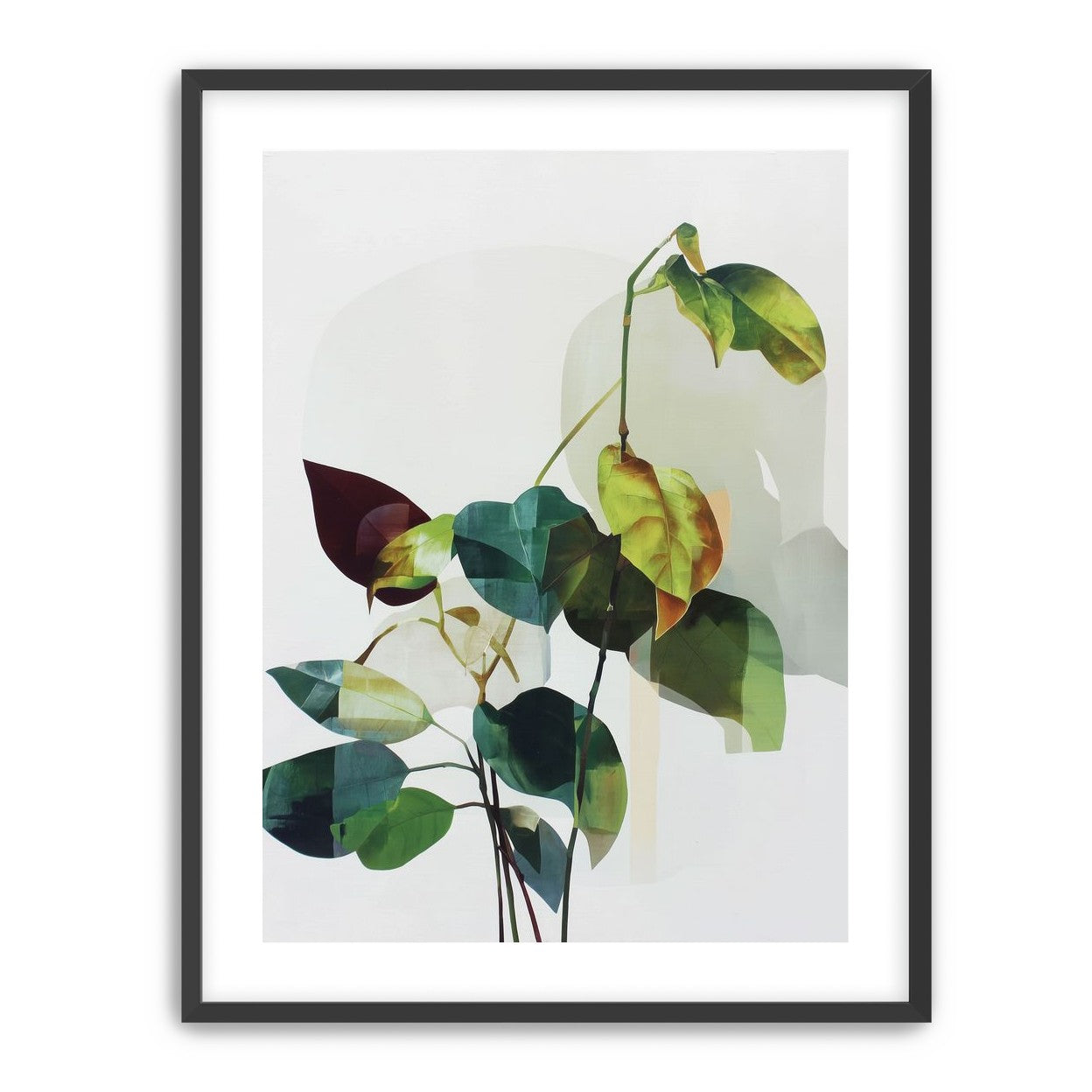 Leaves within pale shadows