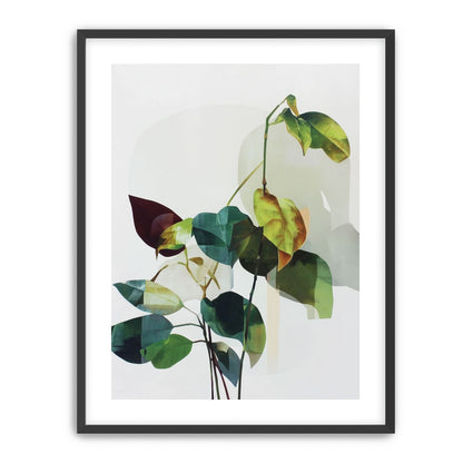 Leaves within pale shadows