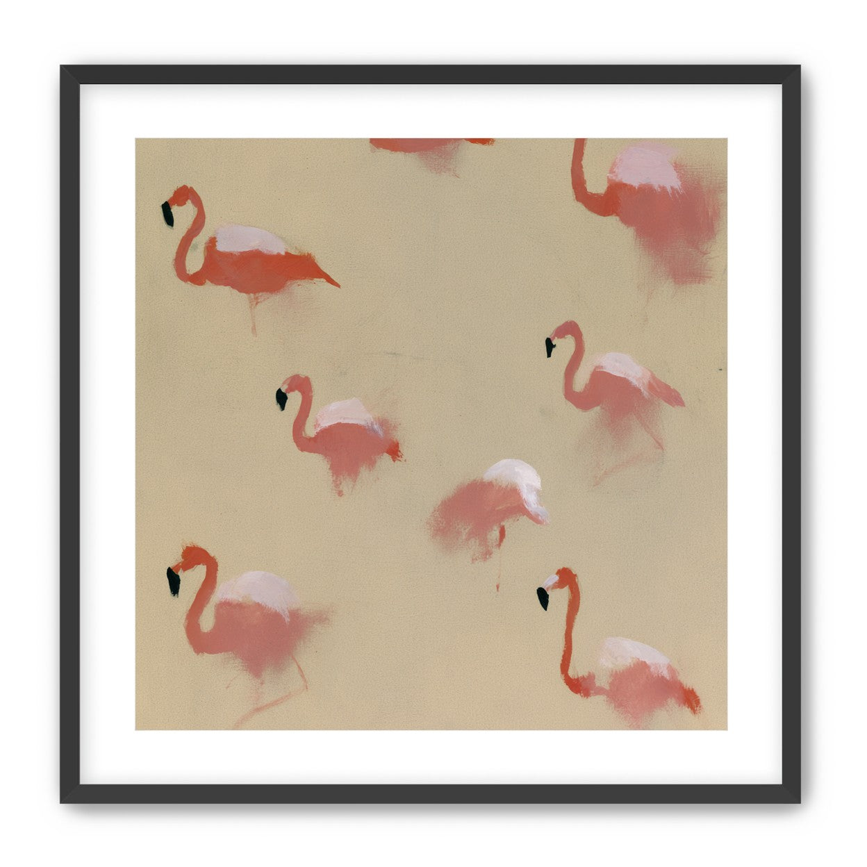 Flamingos in quiet drift