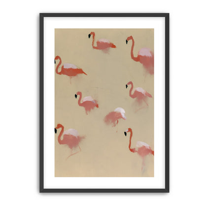 Flamingos in quiet drift