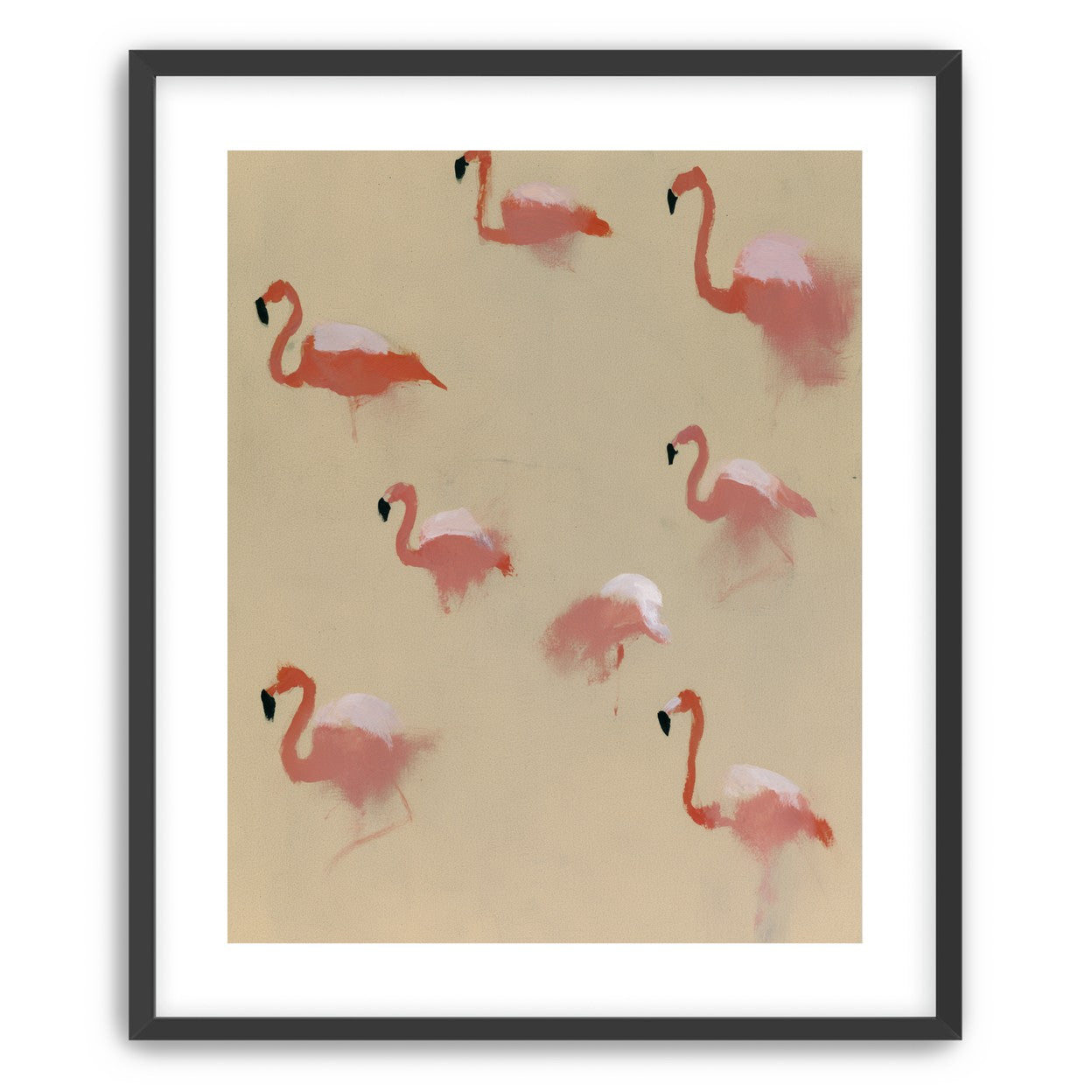 Flamingos in quiet drift
