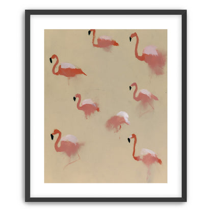 Flamingos in quiet drift