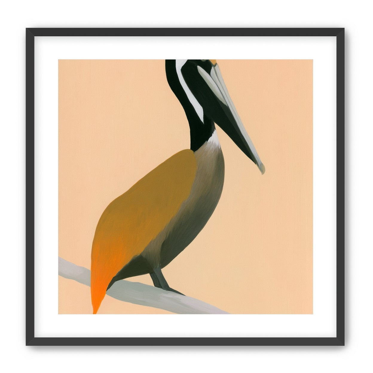 Pelican in peach light