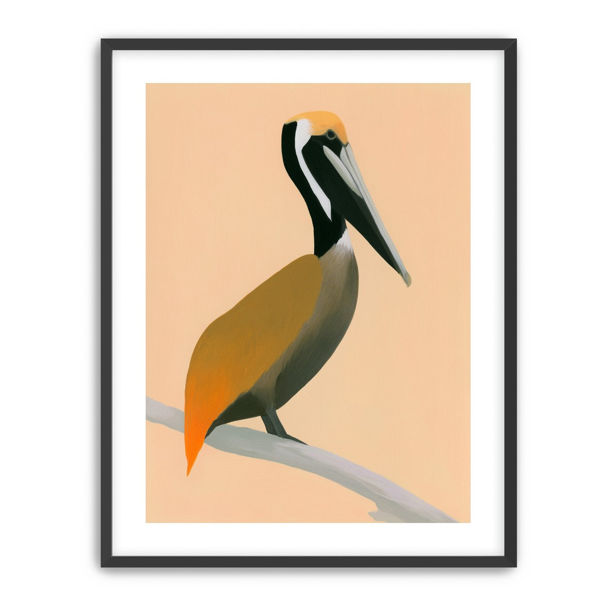 Pelican in peach light