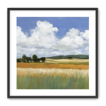 Meadow Under Clouds