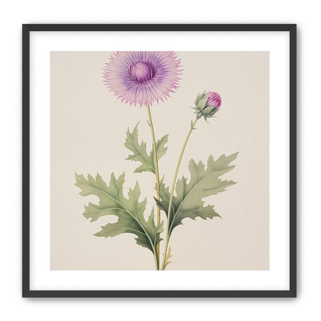 Lavender Radiance