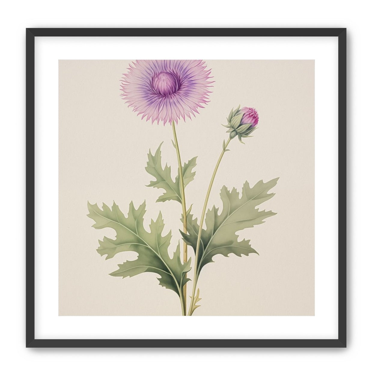 Lavender Radiance