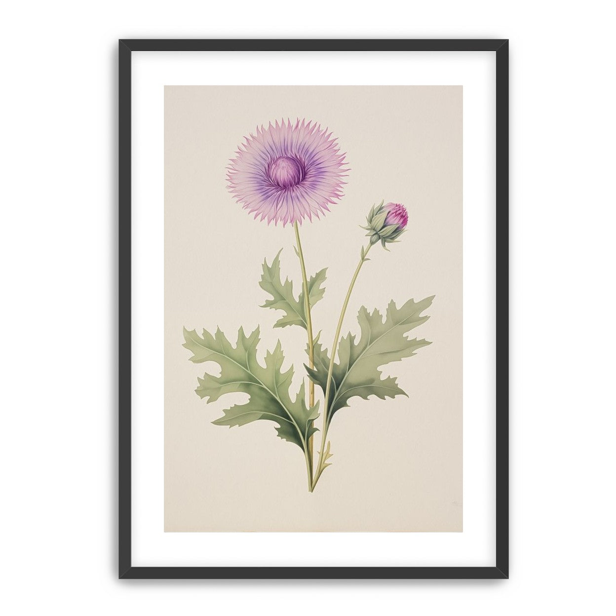 Lavender Radiance