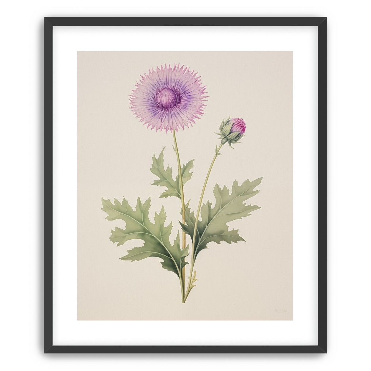Lavender Radiance