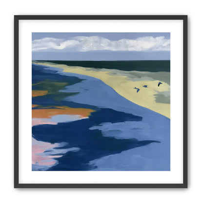 Birds over the pale shore