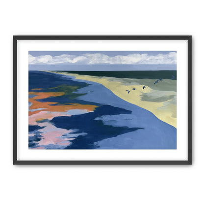 Birds over the pale shore