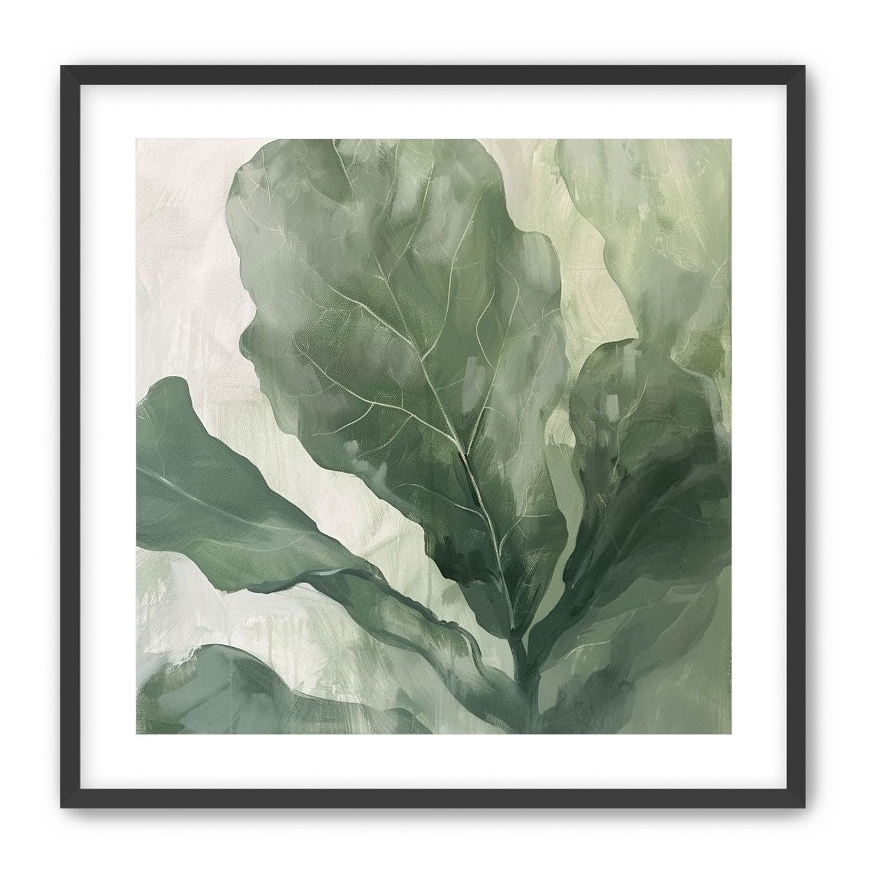 Sage leaves in pale light