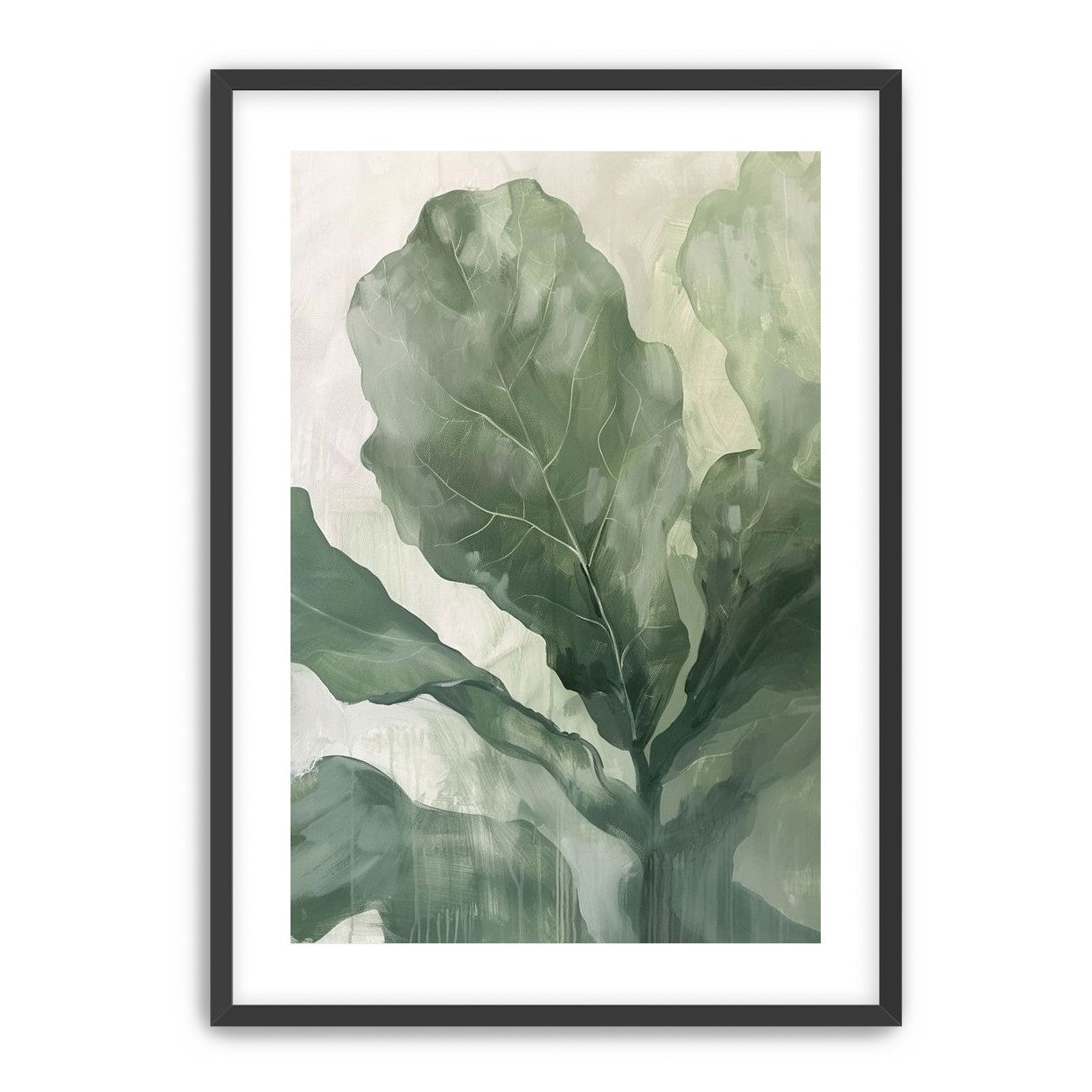 Sage leaves in pale light