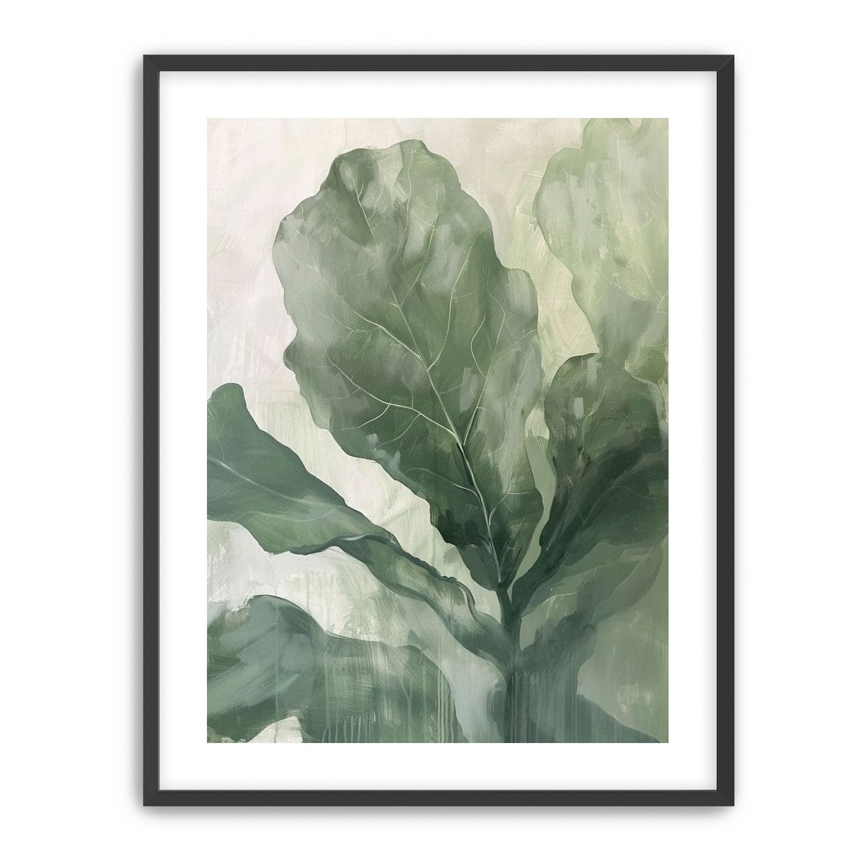 Sage leaves in pale light