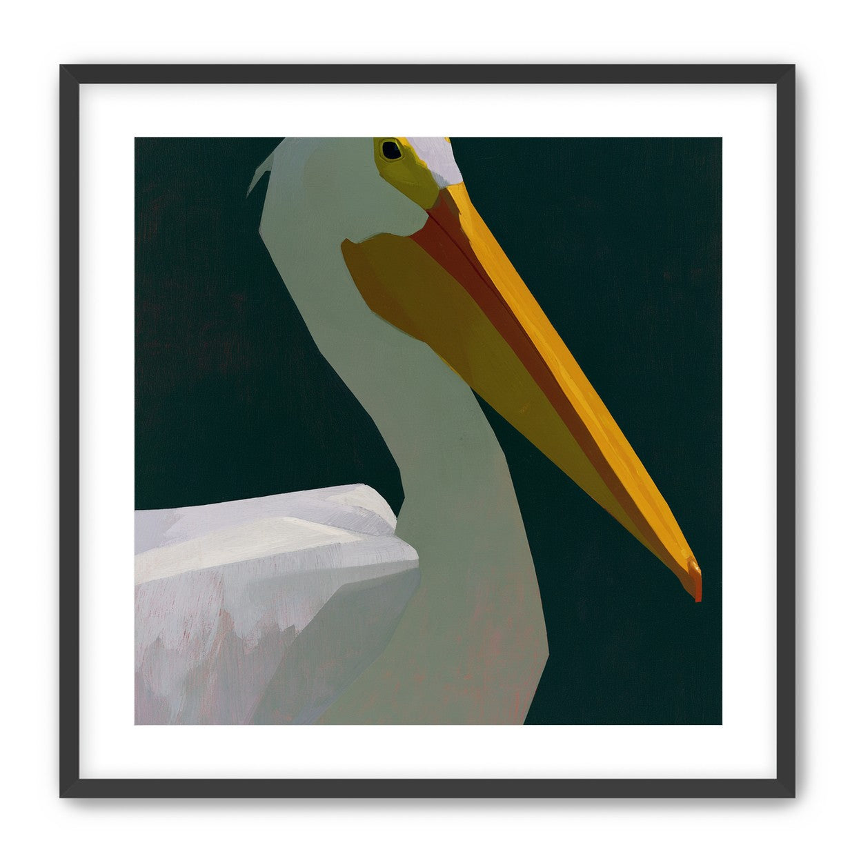 White pelican in deep green