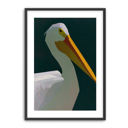 White pelican in deep green