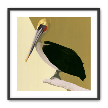 Pelican in quiet balance