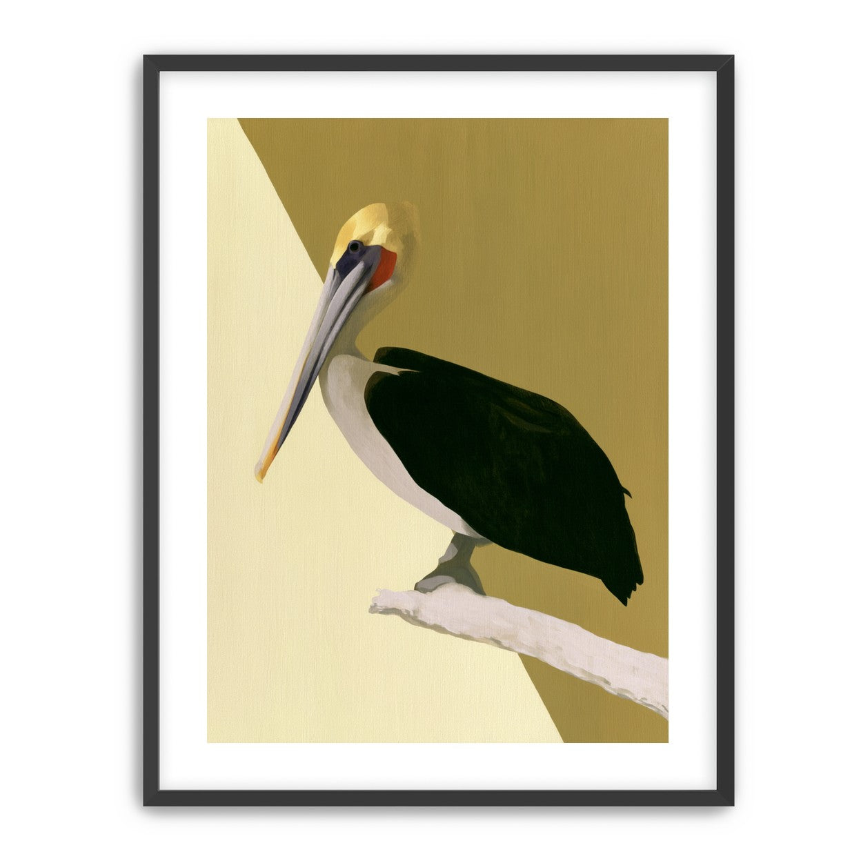 Pelican in quiet balance
