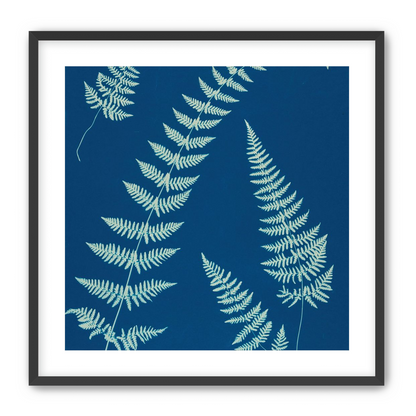 Fern shadows in blue