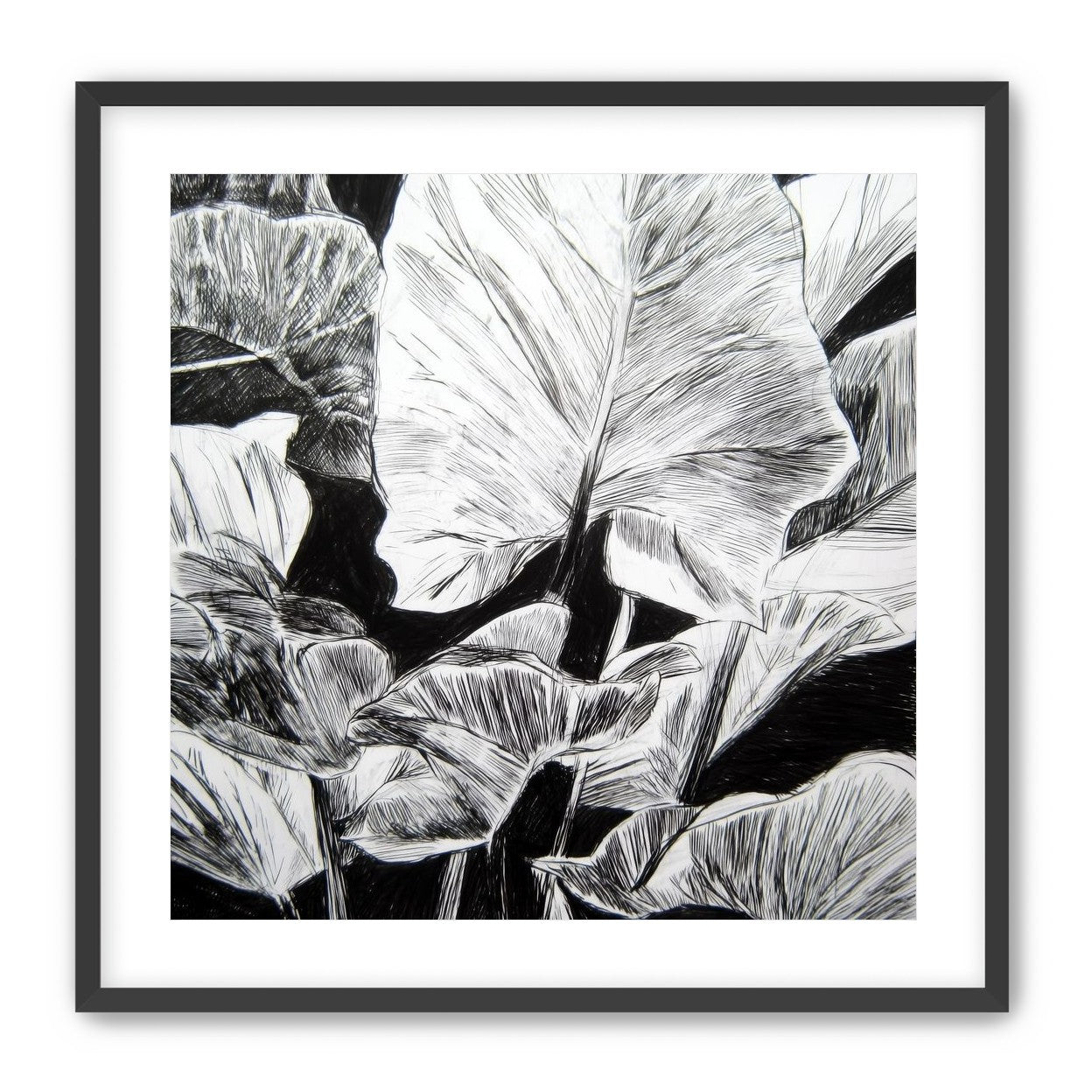 A Cluster of Leaves