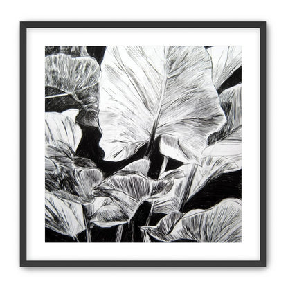 A Cluster of Leaves