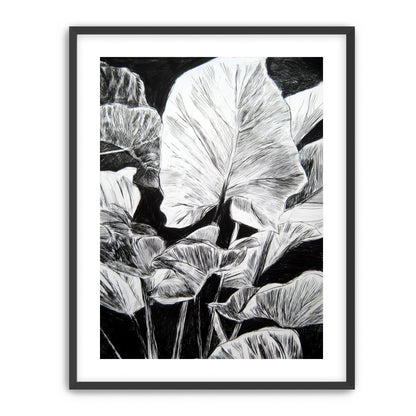 A Cluster of Leaves