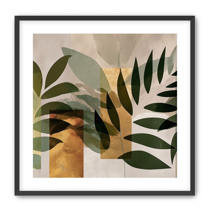 Row of Ferns