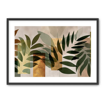 Row of Ferns