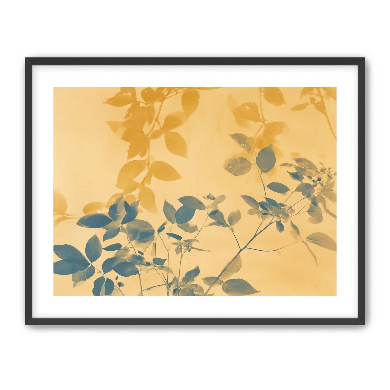 Pressed Leaves Recorded