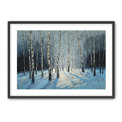 Birch Trees in Winter Light