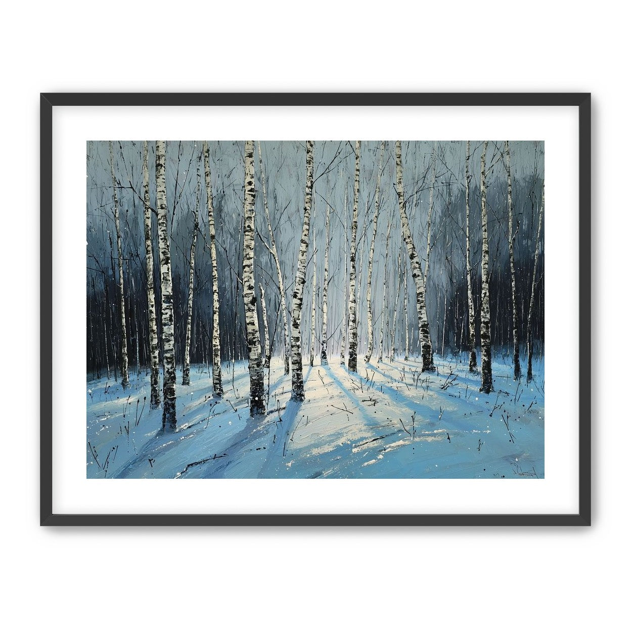 Birch Trees in Winter Light
