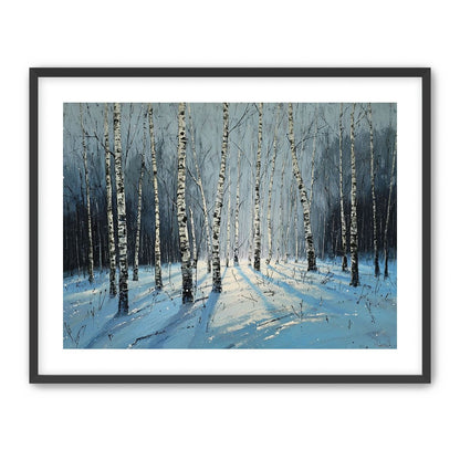 Birch Trees in Winter Light