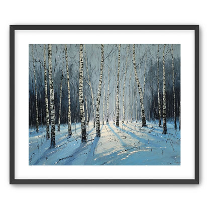 Birch Trees in Winter Light