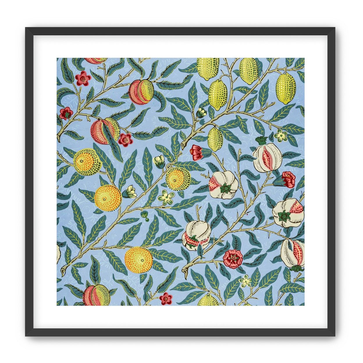 Fruits on the Vine