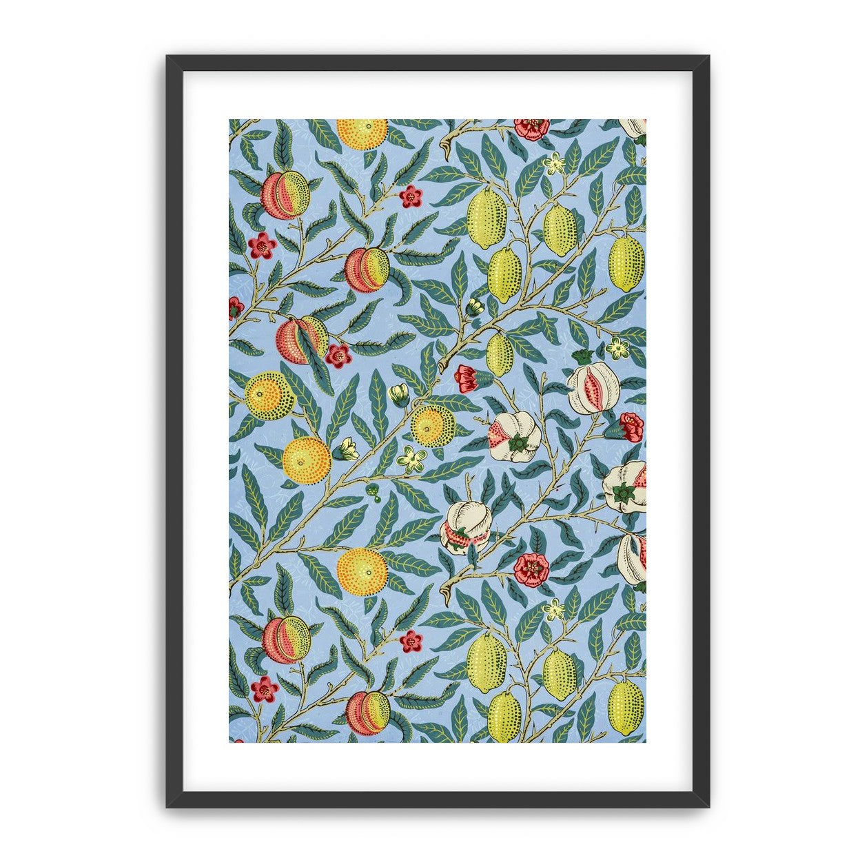 Fruits on the Vine