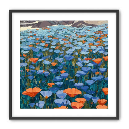 California Poppies