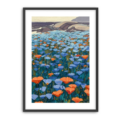 California Poppies