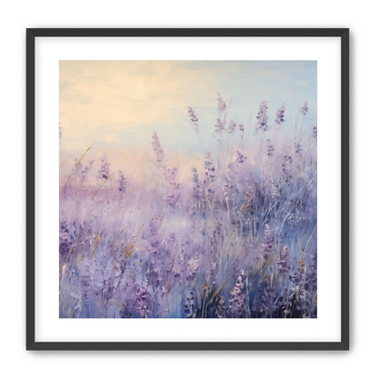 Lavender Fields