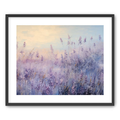 Lavender Fields