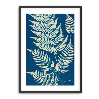Ferns crossing blue field