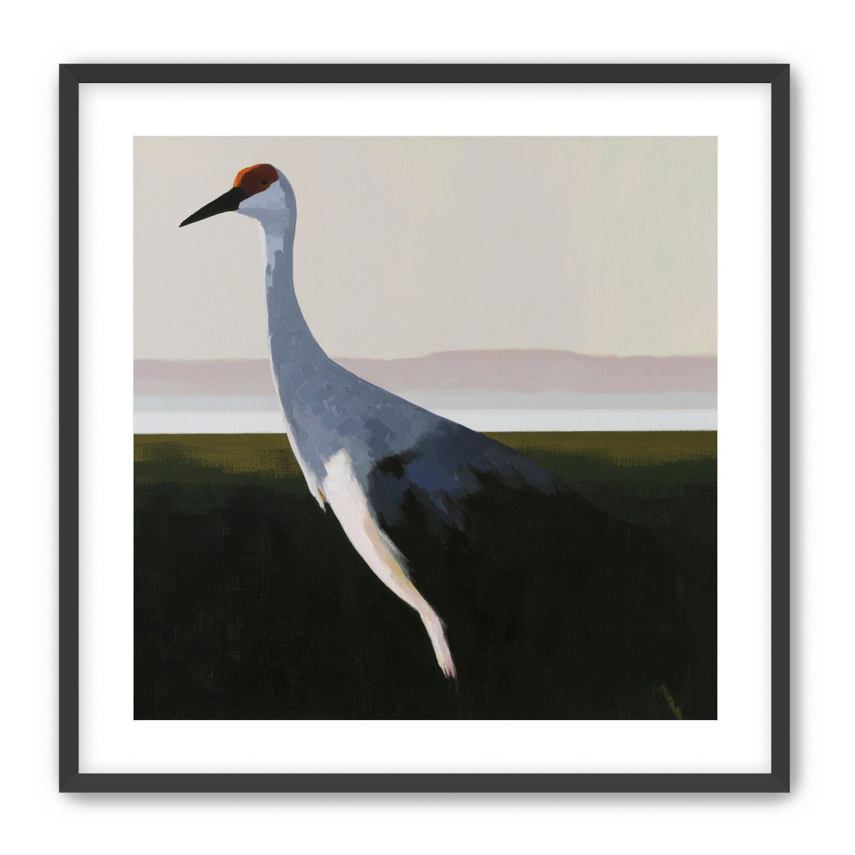 Crane with a red crown