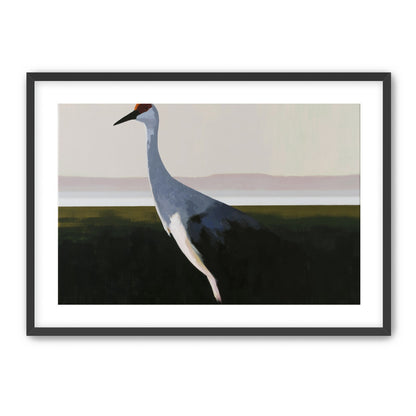 Crane with a red crown